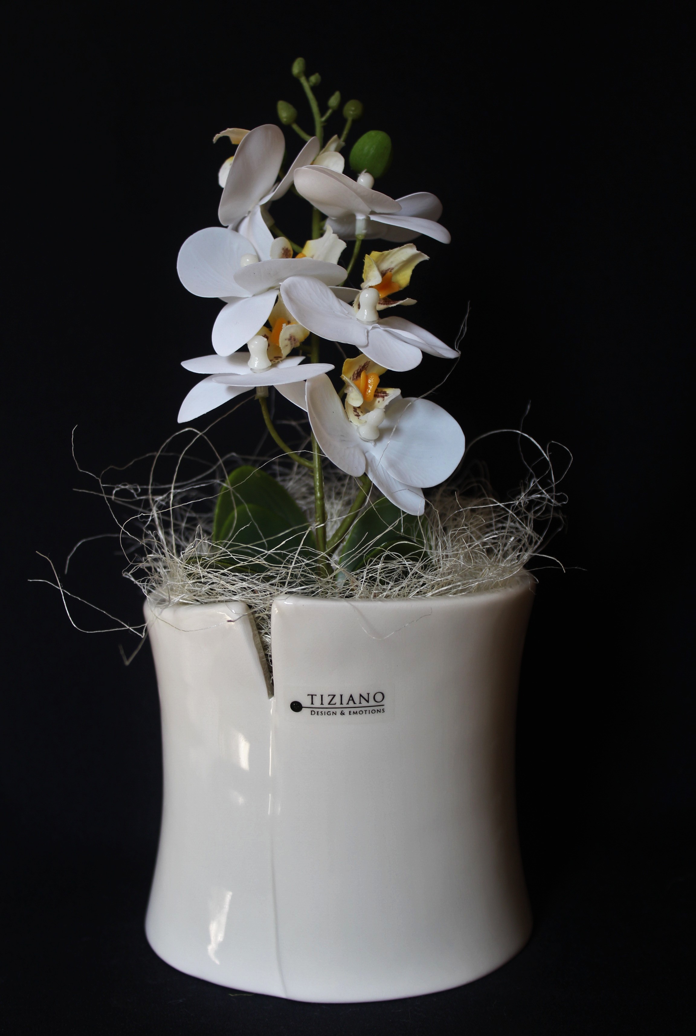 hier: Kübel Mondavio 13cm creme mit Orchidee